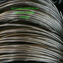 China Manufacture Electro Galvanisierte Staniless Stahldrahtspule 2mm